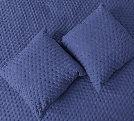 Bedcover Set with 2 Pillow Covers & 2 Cushion Pillows - Lavender