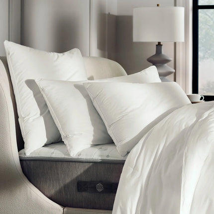 White pillow: Daily Comfort Pillow Set (Pack of 2)