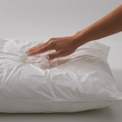 White pillow: Daily Comfort Pillow Set (Pack of 2)