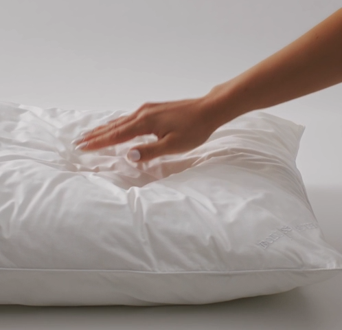 White pillow: Daily Comfort Pillow Set (Pack of 2)